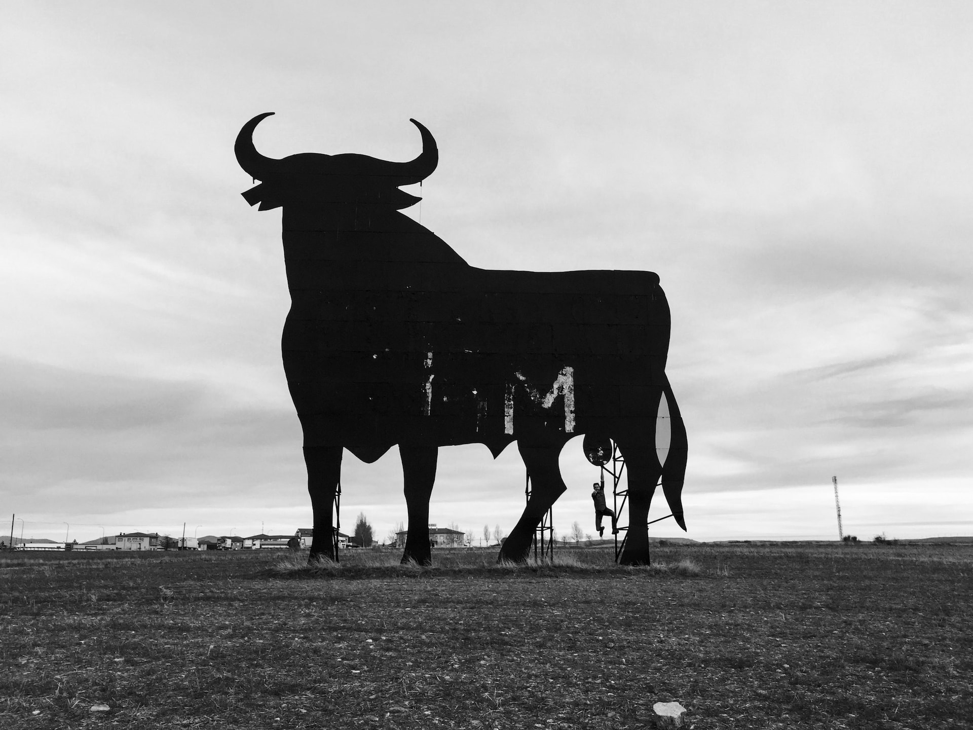 Pierre naturelle pour Taureau