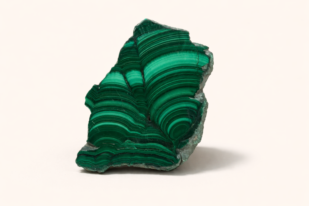 Tranche polie de malachite révélant des motifs tourbillonnants et des bandes concentriques dans des nuances de vert forêt et vert émeraude sur fond blanc.